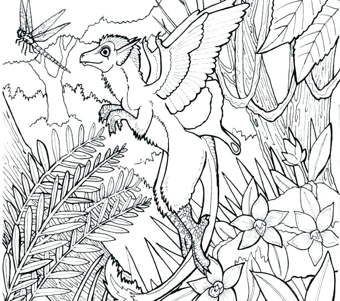 678x600 Forest Coloring Page Coloring Page With Lovely Sloth In Forest