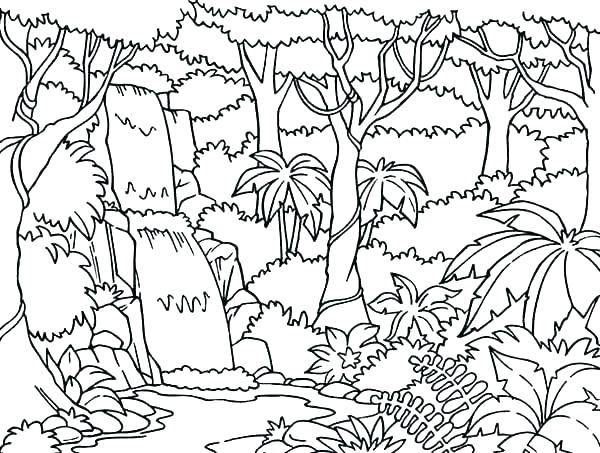 600x453 Forest Coloring Pages Coloring Forest Forest Coloring Pages