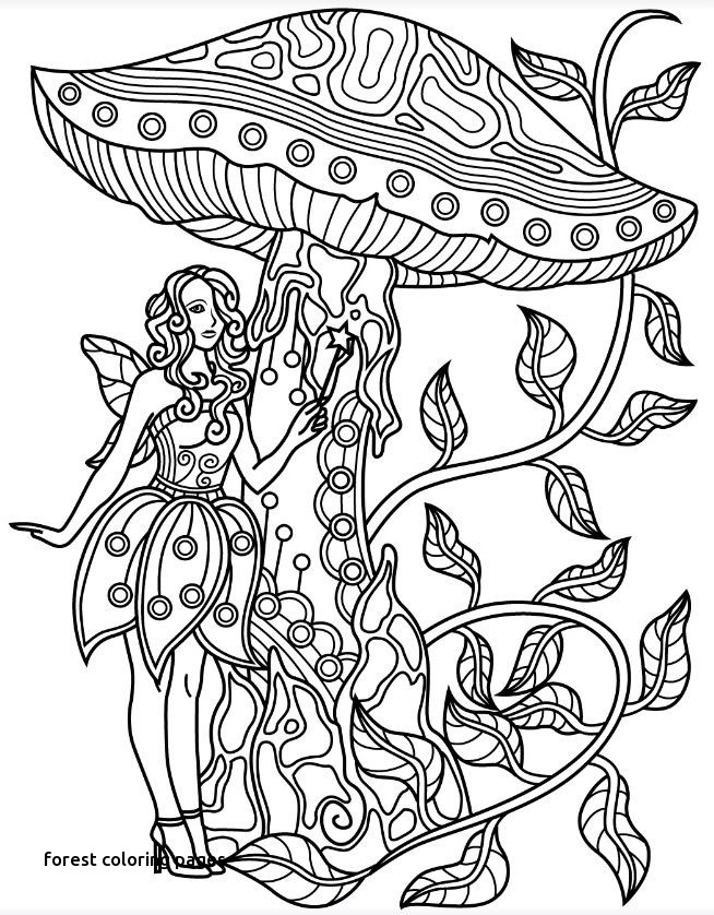654x838 4630 Best Zentangles Adult Colouring Images On