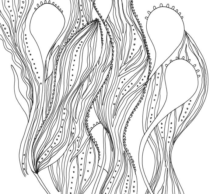 700x637 Kelp Forest Coloring Pages