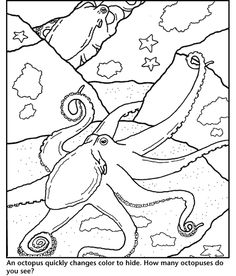 236x276 Monterey Bay Aquarium Kelp Forest Coloring Page Cecil's Nursery
