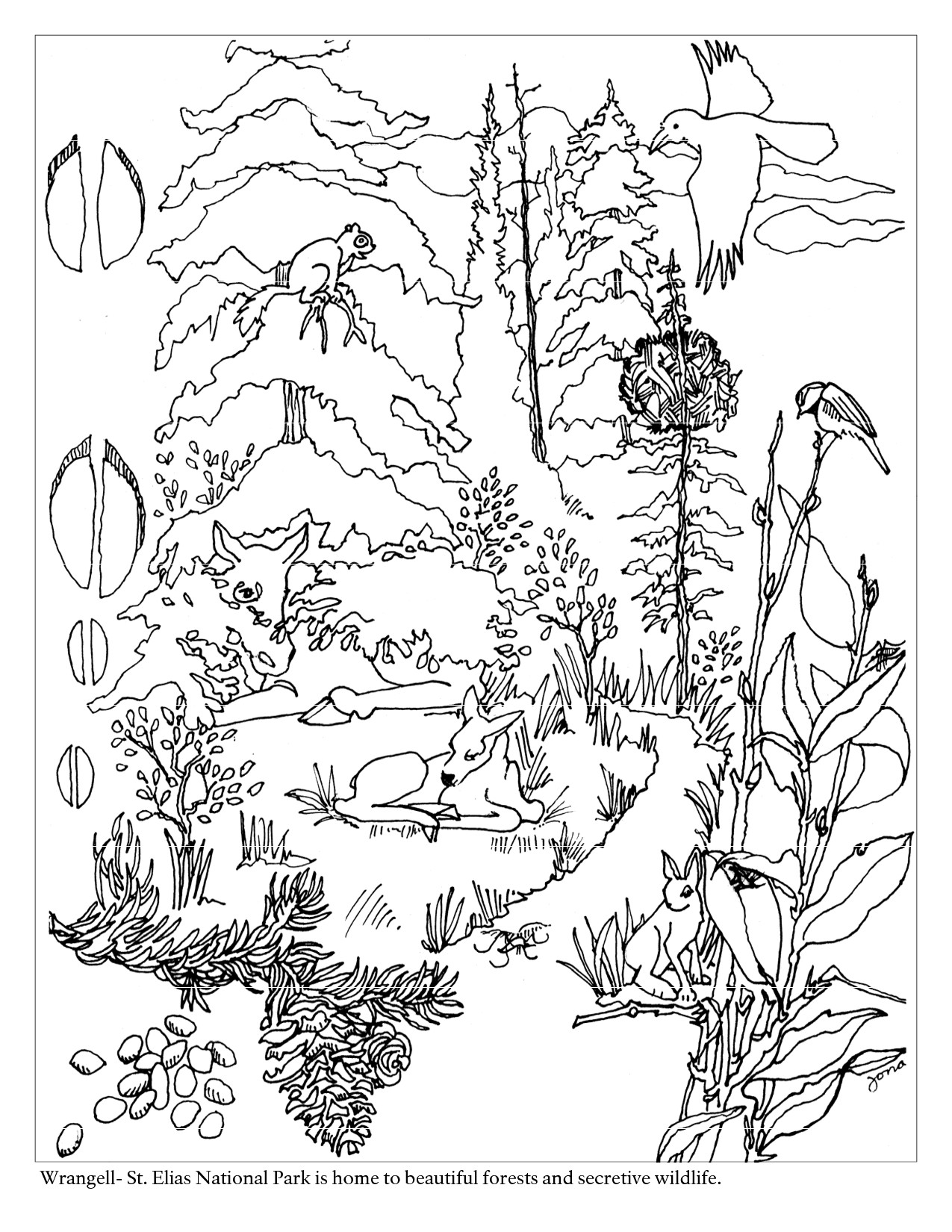 1275x1650 Outstanding Forest Coloring Sheets Ideas