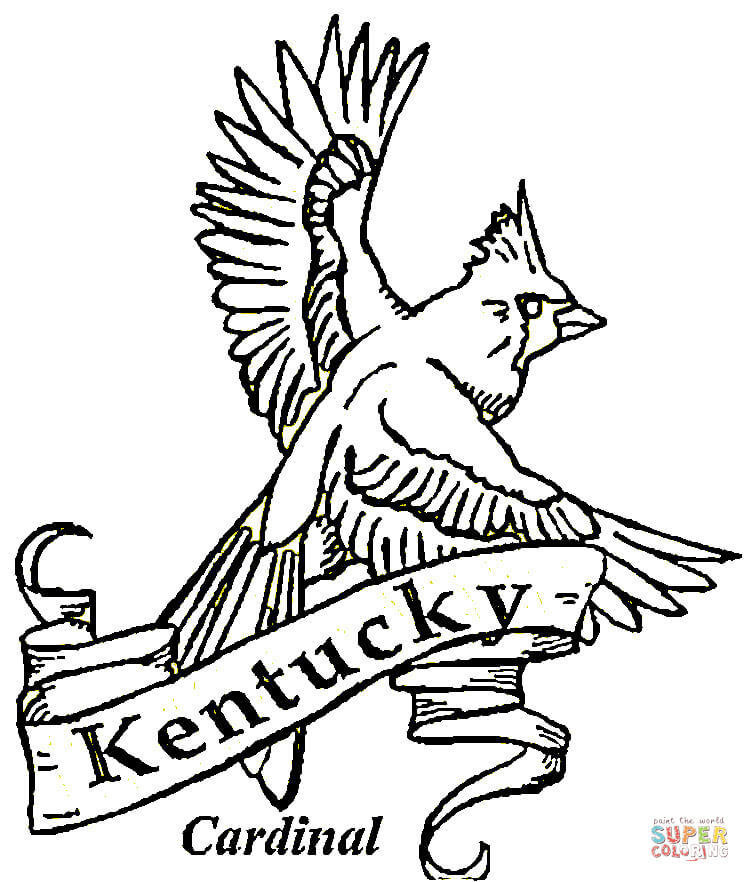 750x882 Kentucky Symbols Coloring Pages Kentucky State Symbols Coloring