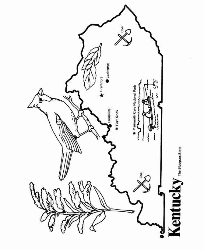 670x820 Kentucky State Flag Coloring Page