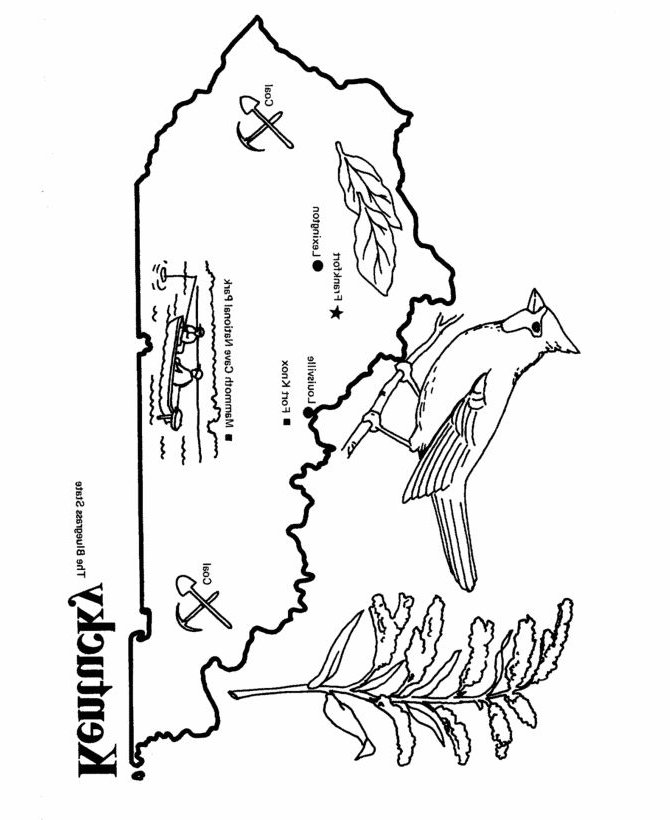 670x820 Flag Of Kentucky Coloring Page Free Printable Pages