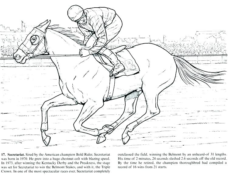 750x581 Jumping Horse Coloring Pages Free Horse Jumping Coloring Pages
