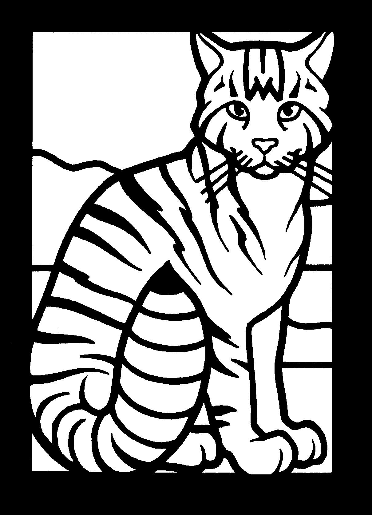 Kentucky Wildcats Coloring Pages