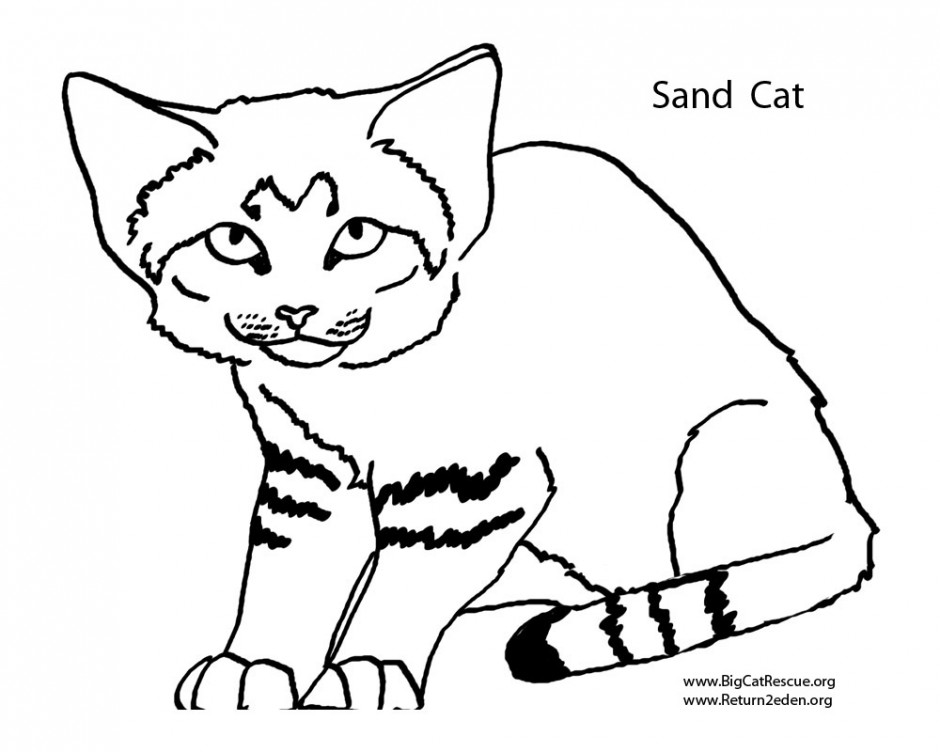 940x752 Wildcat Coloring Pages Page