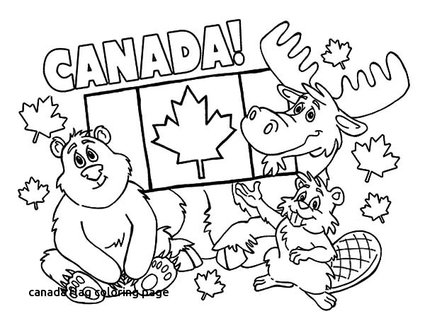 600x464 Kenya Flag Coloring Sheets 1181 788 For Canada Flag Coloring Page