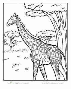 236x296 Activity Worksheets And Printables Kenya, Geography And Worksheets
