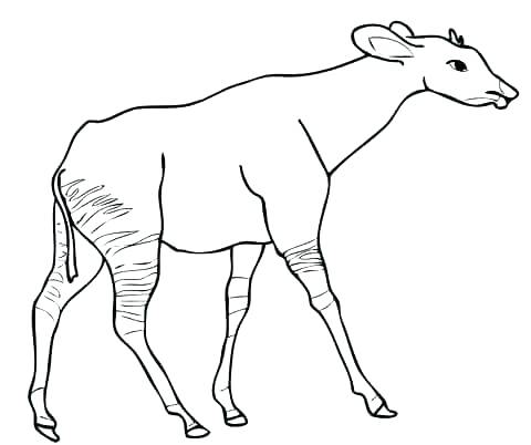 480x402 Kenya Flag Coloring Page Flag Coloring Pages Printable Kenya Flag