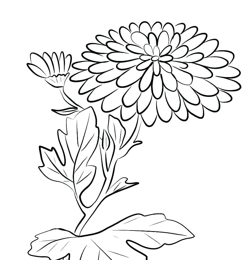 866x900 Kevin Henkes Coloring Pages Chrysanthemum Lily Kevin Henkes