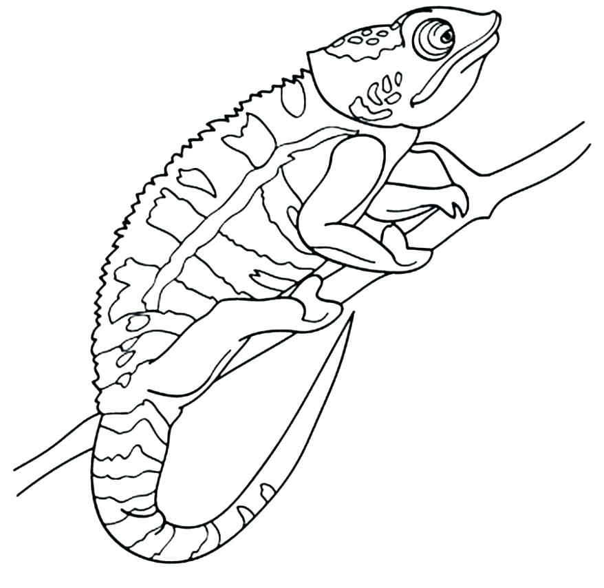 878x854 Kevin Henkes Coloring Pages Coloring Pin Coloring Page 6 Inspiring