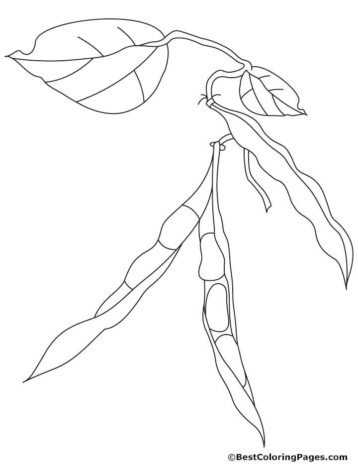 720x936 Bean Coloring Page Coloring Page 4 Mr Bean Coloring Pages