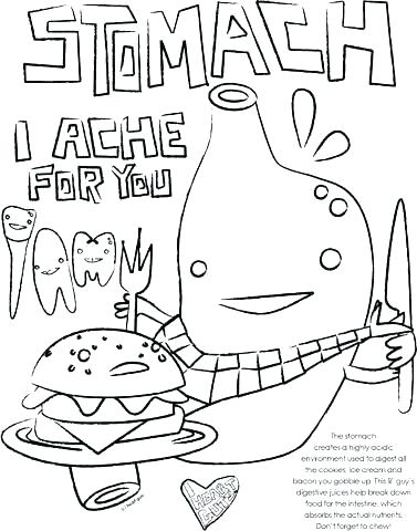 377x480 Coloring Digestive System Coloring Pages Kidney Worksheet Answers