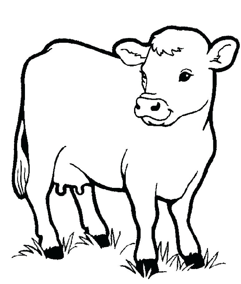 773x910 Cow Coloring Page Preschool Animal Coloring Pages Little Cow