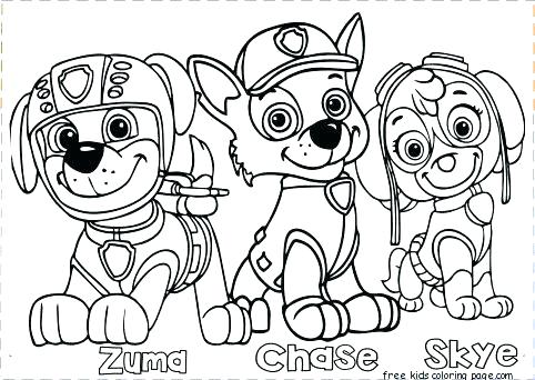 482x342 Paw Print Coloring Pages Animal Jam Coloring Pages To Print Paw