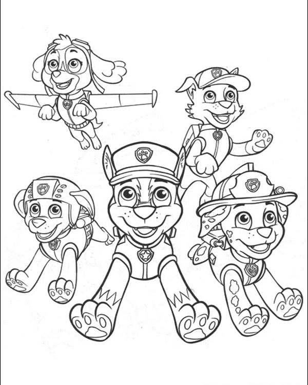600x750 Paw Patrol 9