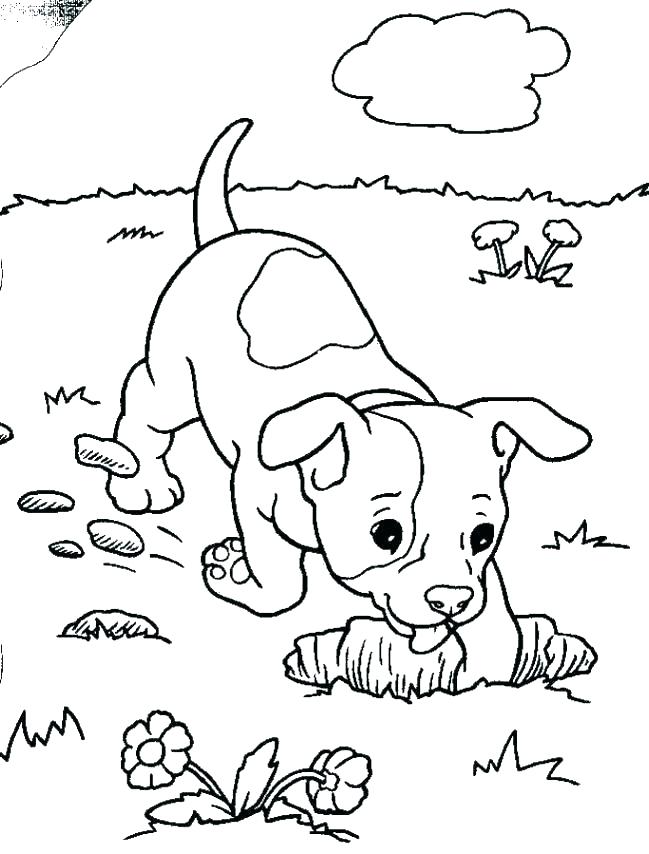 649x854 Pound Puppies Coloring Pages