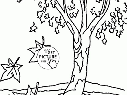 440x330 48 Free Tree Coloring Pages, Fall Tree Coloring Pages For Kids