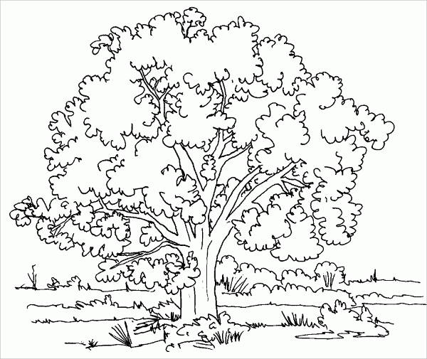 600x505 Children's Coloring Pages Free Amp Premium Templates