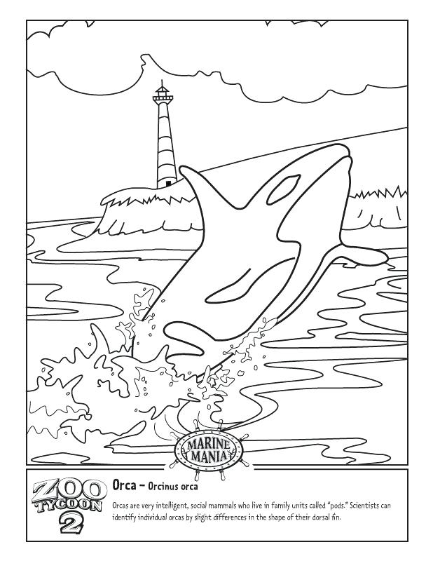 618x800 David Becomes King Coloring Pages Colouring Pages Page 3 Killer