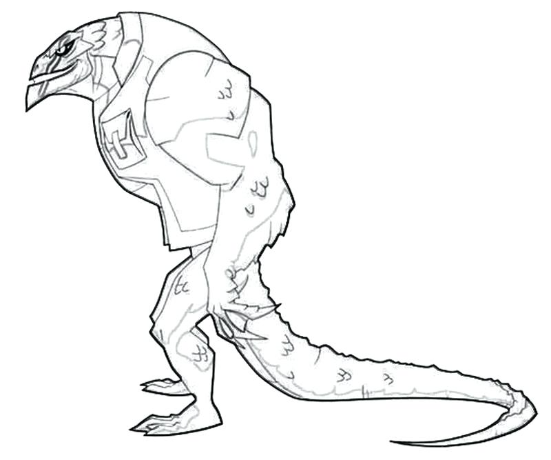 800x667 Crocodile Coloring Pages Crocodile Coloring Pages Here Are