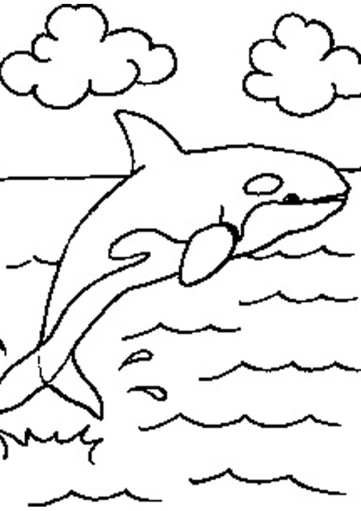 724x1024 Killer Whale Coloring Page Get Bubbles