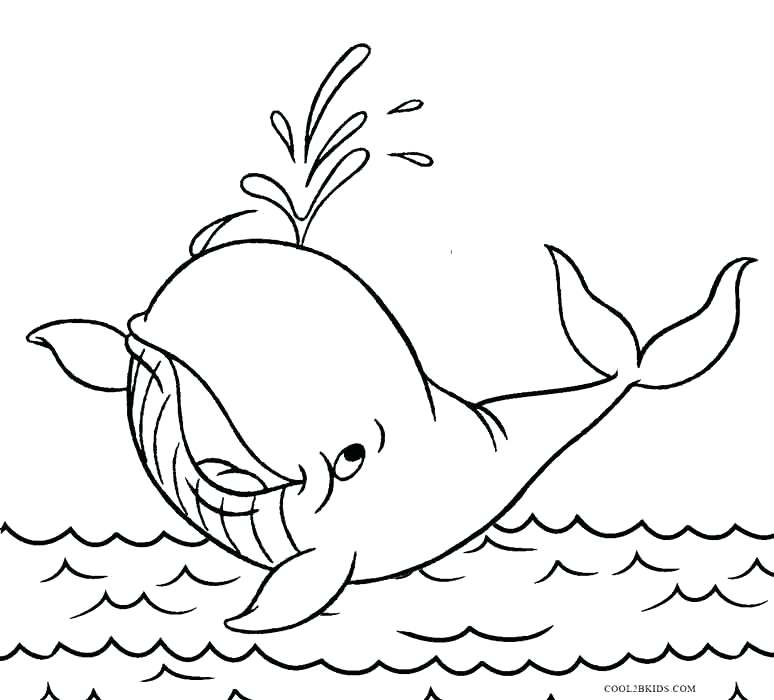 774x700 Killer Whale Coloring Page Printable Whale Coloring Pages For Kids