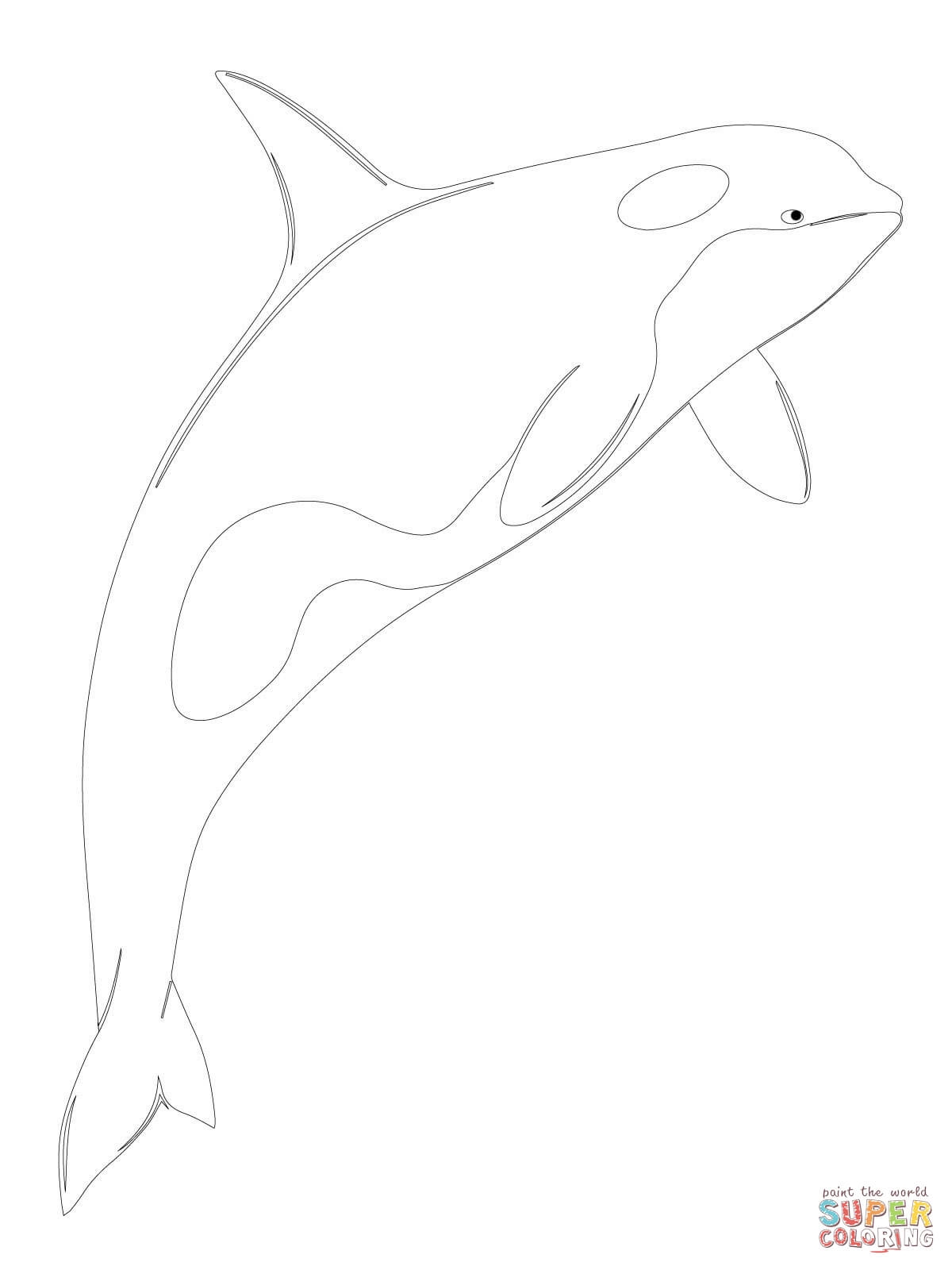 1200x1600 Killer Whale Coloring Pages 4creative Collection