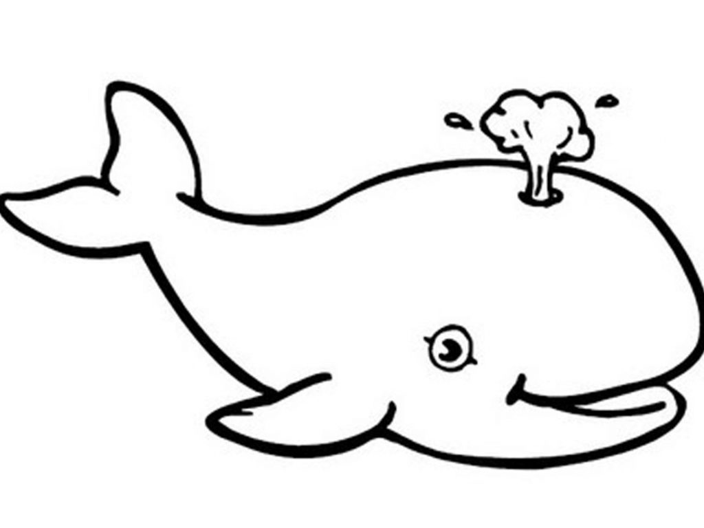 Killer Whale Coloring Pages For Kids
