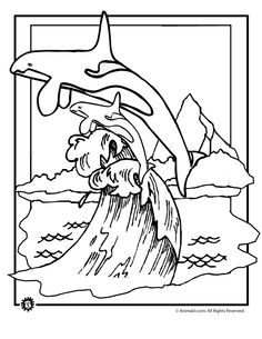 236x305 Dover Coloring Pages Rainforest