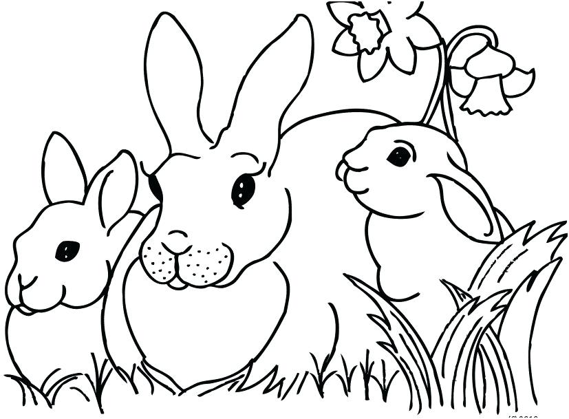 827x609 Easter Bunny Coloring Pages Free Printable St Bunnies To Color
