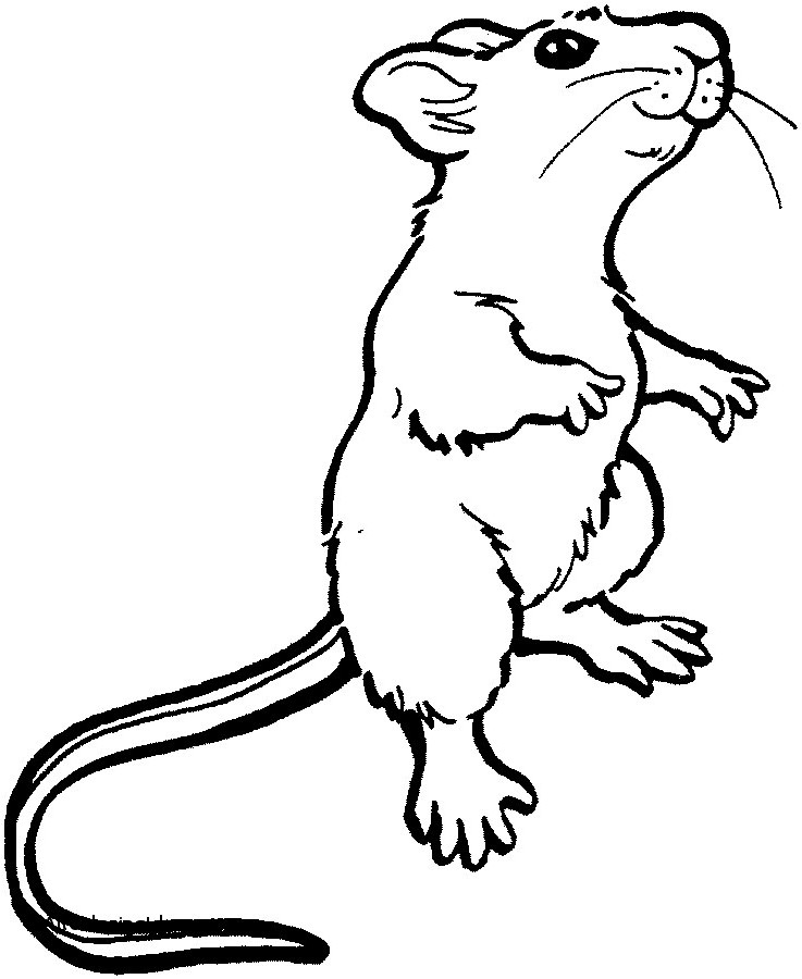 737x900 Beanie Boos Coloring Pages Printable King Boo Coloring Pages