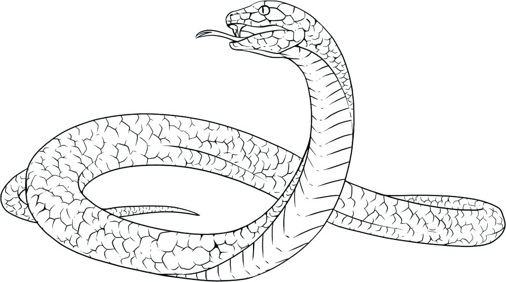 1024x570 King Cobra Coloring Pages Drawn Cobra Coloring Page Pencil And