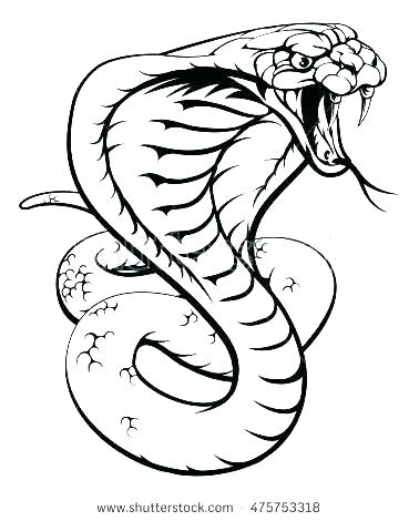 378x470 Snake Drawings For Kids King Cobra Coloring Pages Backyard King