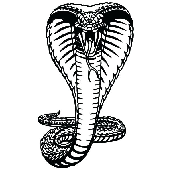 600x600 Cobra Coloring Page Snake Drawings For Kids King Cobra Coloring