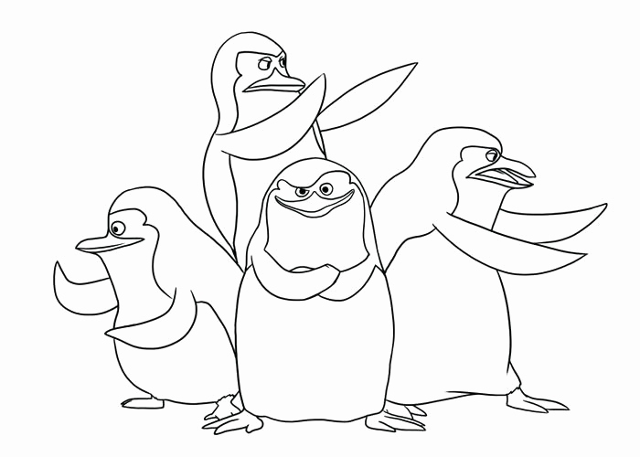 700x500 Madagascar Coloring Pages Pictures Madagascar Coloring Pages King