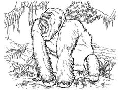 236x180 King Kong Coloring Pages Xmans 1year King Kong