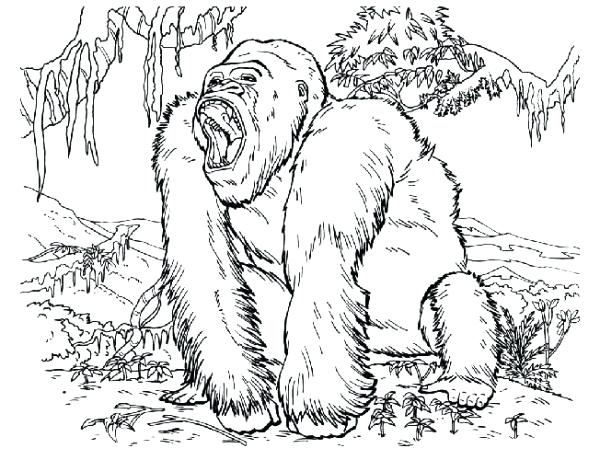 600x460 King Kong Coloring Pages Free Open Mouth
