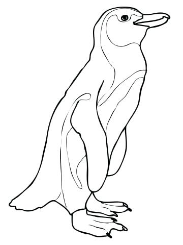 360x480 Penguin Coloring Book Penguin Coloring Page Penguin Coloring Book