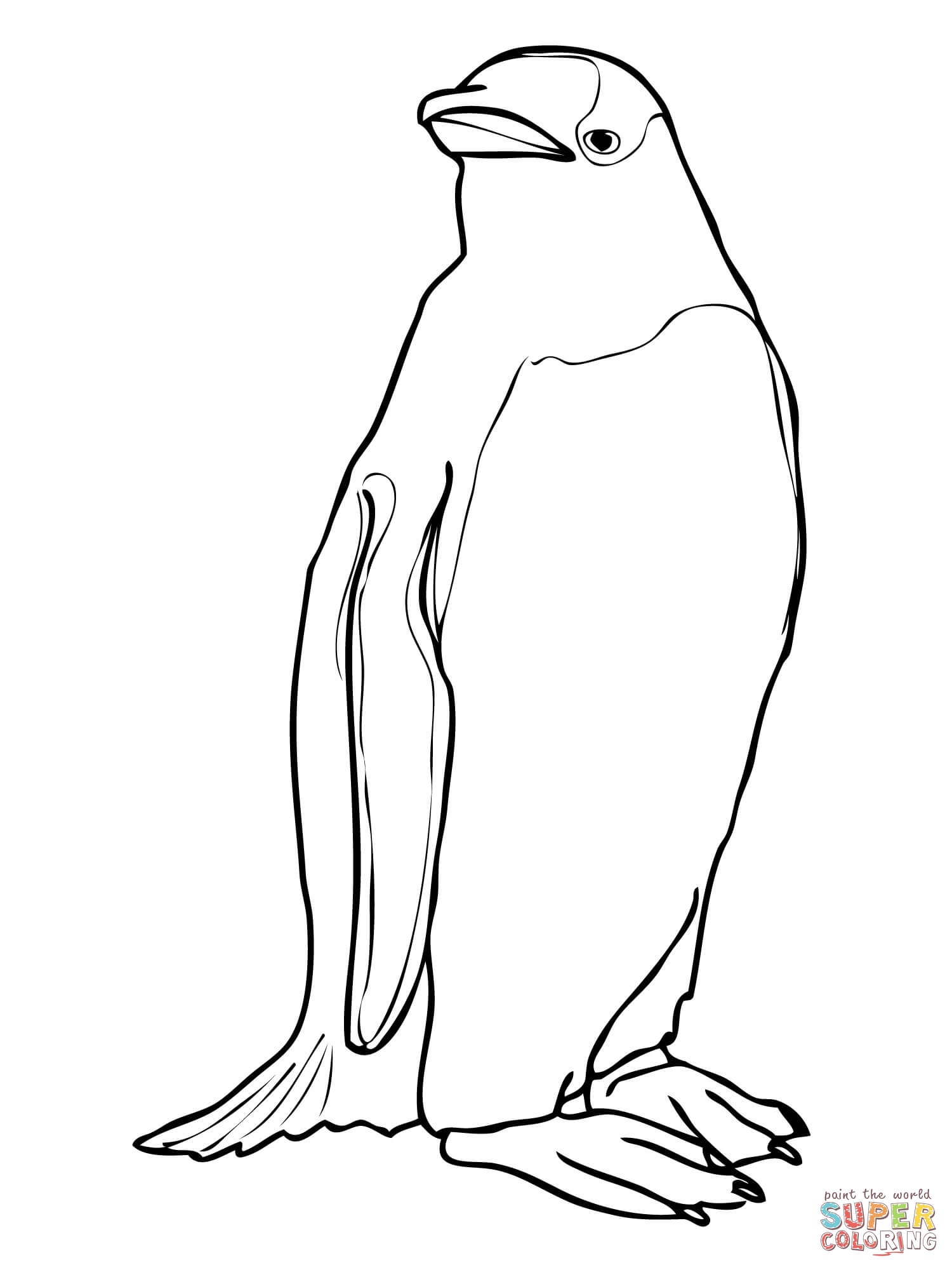 1500x2000 Penguin Coloring Pages Lovely Gentoo Penguin Coloring Page Logo