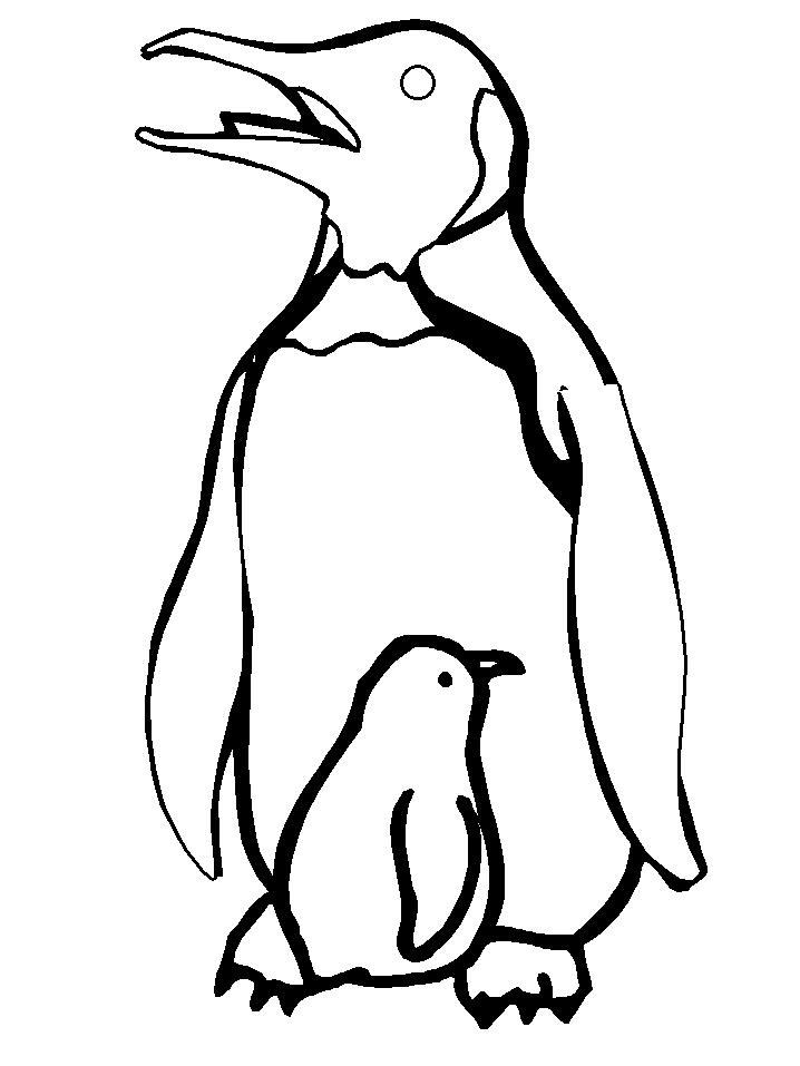 718x957 Penguins Pictures To Print Collection