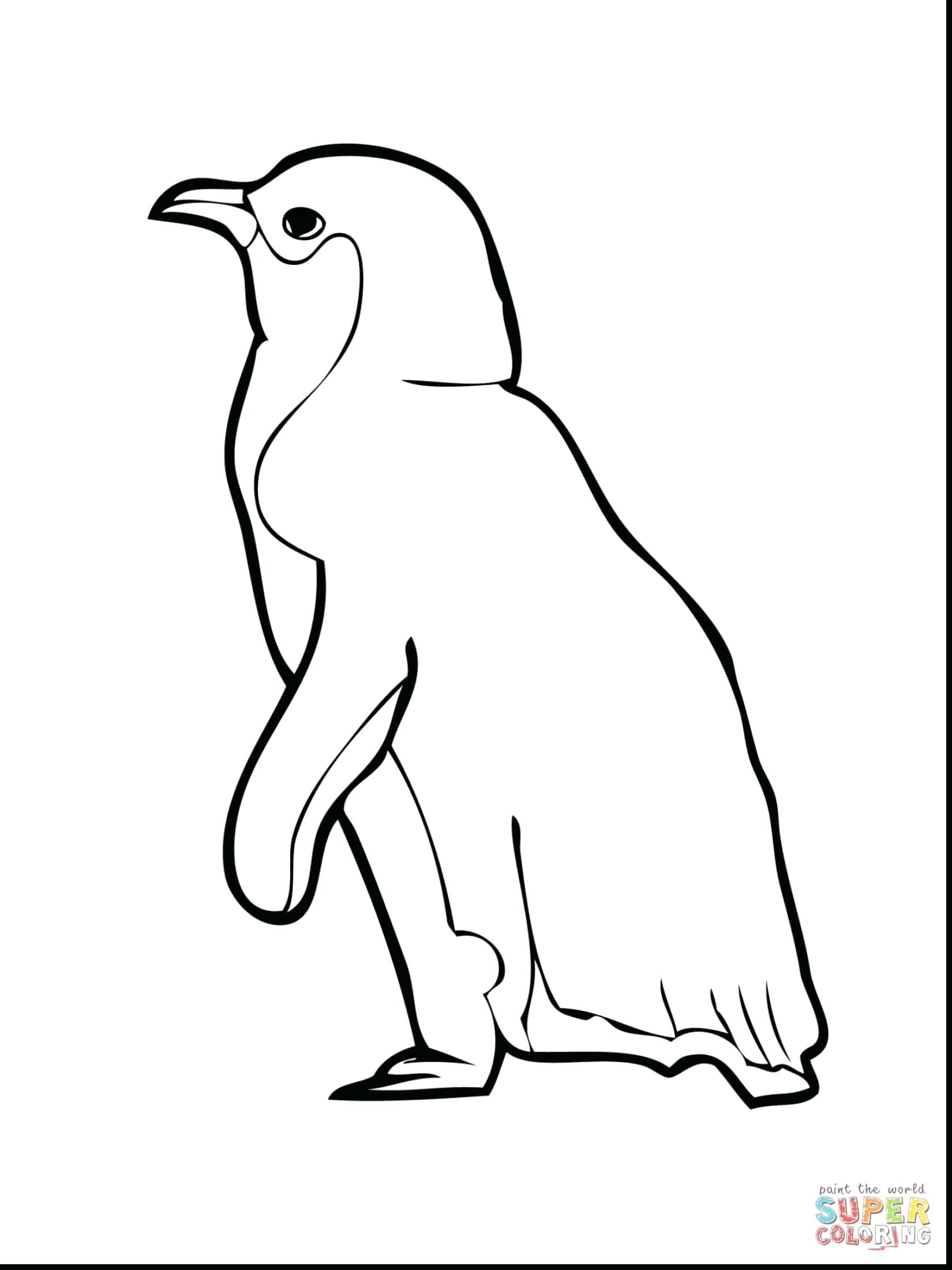 1650x2200 Best Of Little Blue Penguin Coloring Page Clipart Library Free