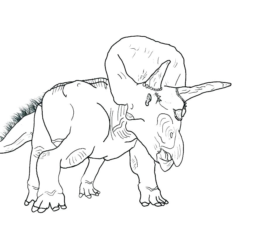 900x853 King Coloring Page