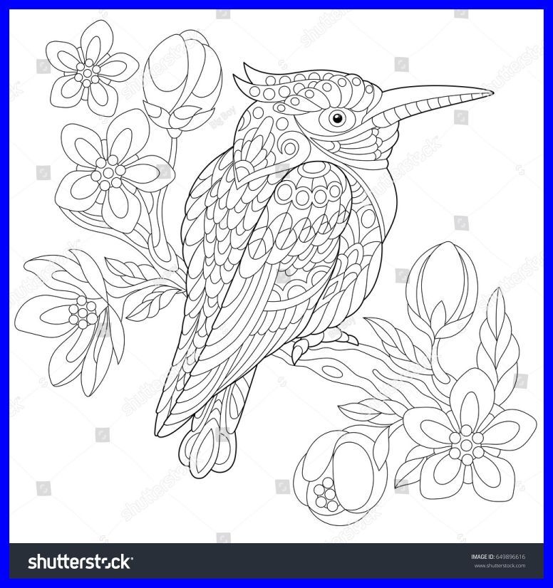 Kingfisher Coloring Page