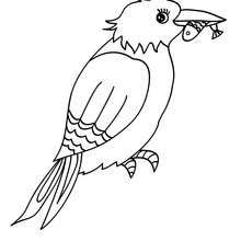 220x220 Common Kingfisher Online Coloring