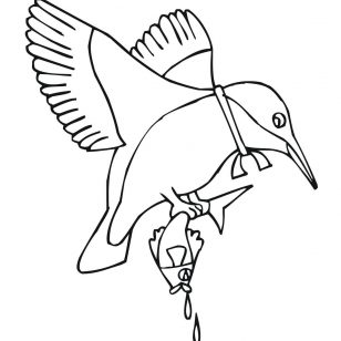 308x308 Drawings Of Kingfisher Coloring Pages