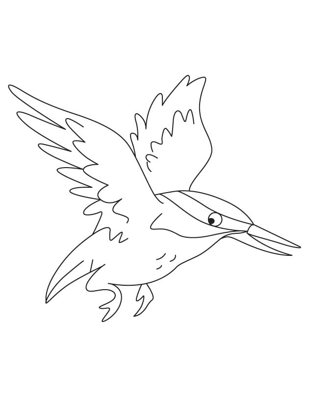 630x810 Flying Kingfisher Coloring Pages Download Free Flying Kingfisher