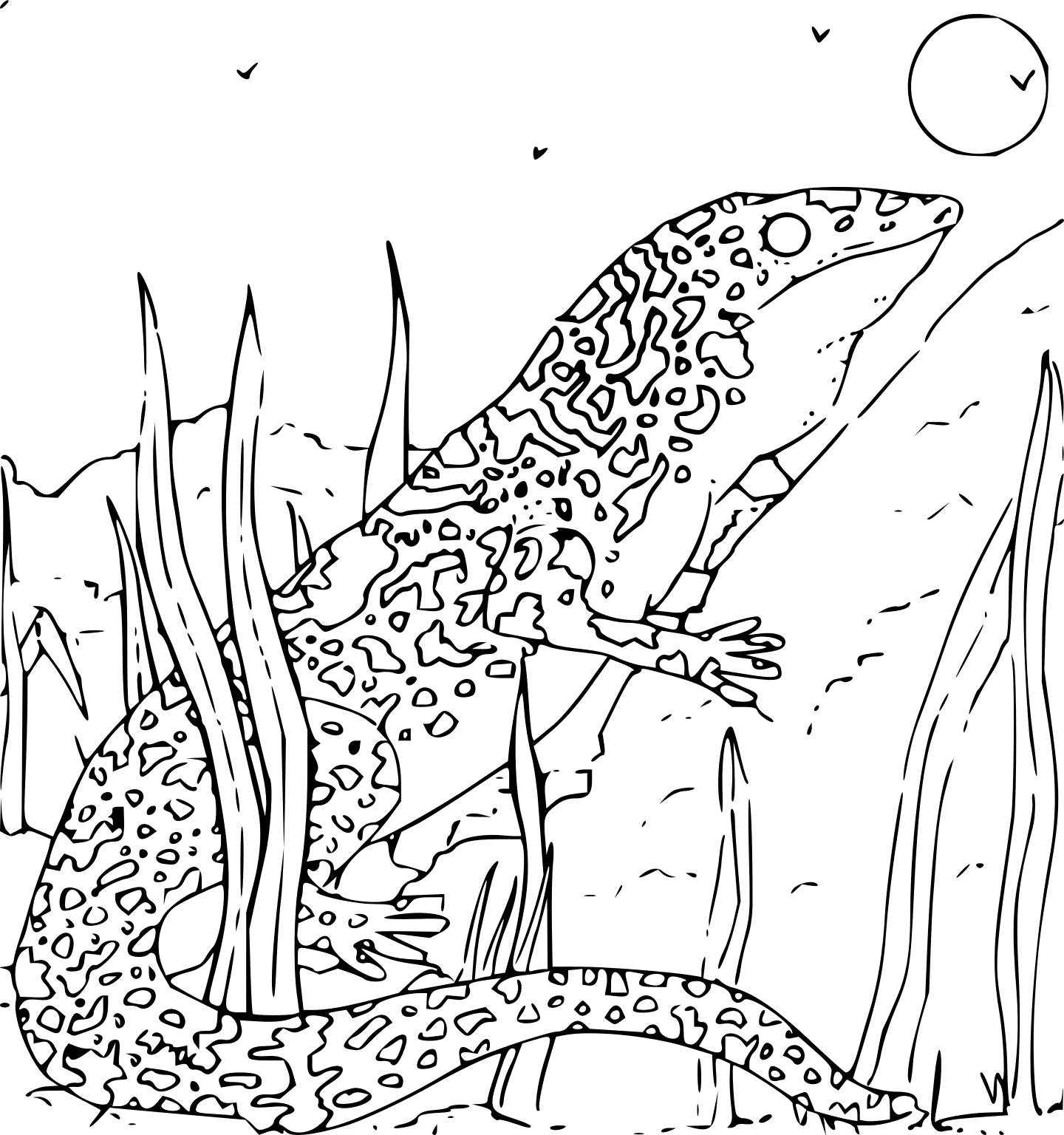 1440x1536 Kingfisher Animal Coloring Pages